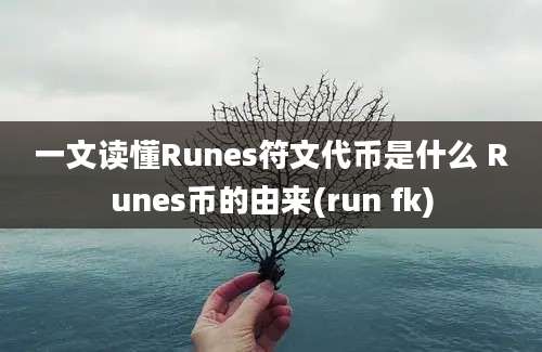 一文读懂Runes符文代币是什么 Runes币的由来(run fk)