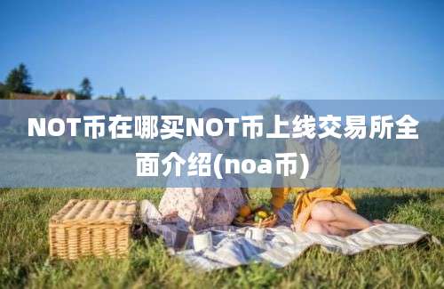 NOT币在哪买NOT币上线交易所全面介绍(noa币)