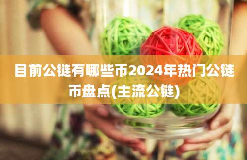 目前公链有哪些币2024年热门公链币盘点(主流公链)