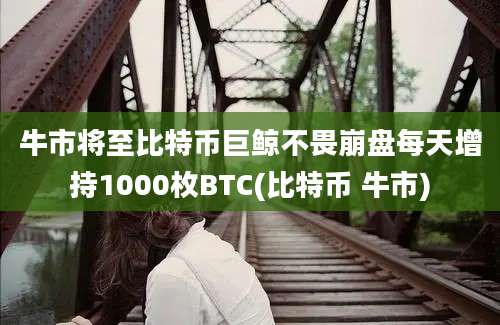 牛市将至比特币巨鲸不畏崩盘每天增持1000枚BTC(比特币 牛市)