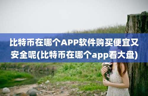 比特币在哪个APP软件购买便宜又安全呢(比特币在哪个app看大盘)