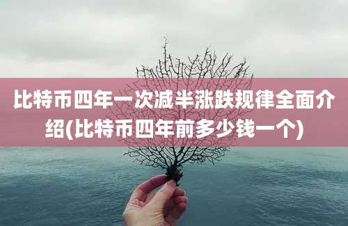 比特币四年一次减半涨跌规律全面介绍(比特币四年前多少钱一个)