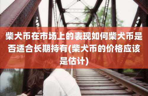 柴犬币在市场上的表现如何柴犬币是否适合长期持有(柴犬币的价格应该是估计)