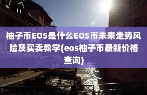 柚子币EOS是什么EOS币未来走势风险及买卖教学(eos柚子币最新价格查询)