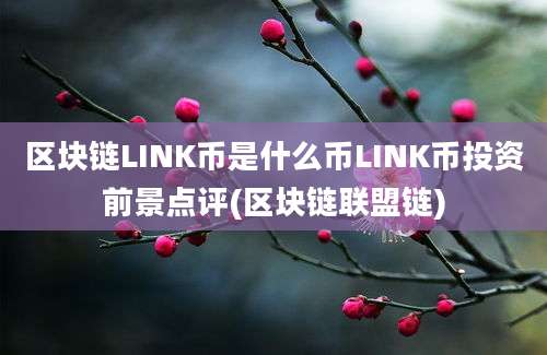 区块链LINK币是什么币LINK币投资前景点评(区块链联盟链)