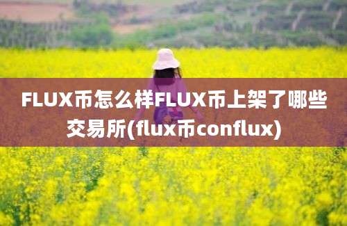 FLUX币怎么样FLUX币上架了哪些交易所(flux币conflux)