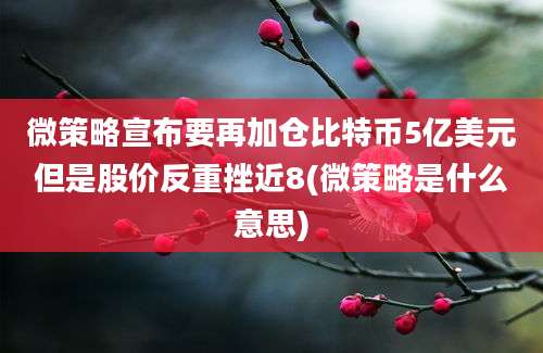 微策略宣布要再加仓比特币5亿美元但是股价反重挫近8(微策略是什么意思)