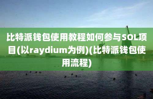 比特派钱包使用教程如何参与SOL项目(以raydium为例)(比特派钱包使用流程)