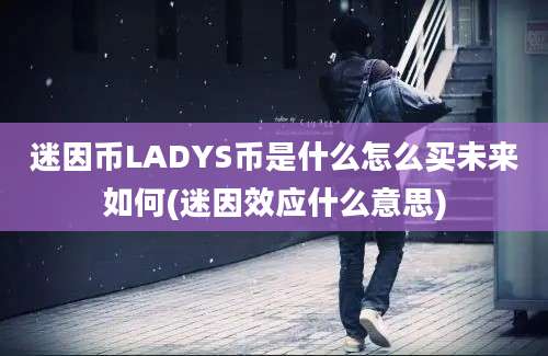 迷因币LADYS币是什么怎么买未来如何(迷因效应什么意思)