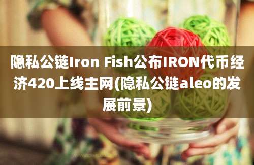 隐私公链Iron Fish公布IRON代币经济420上线主网(隐私公链aleo的发展前景)