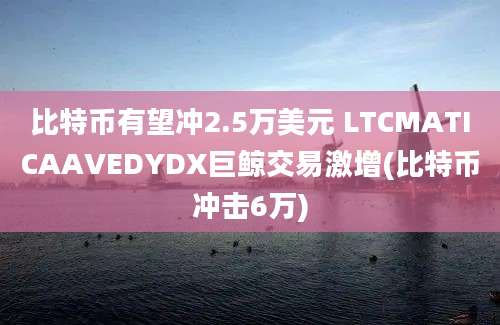 比特币有望冲2.5万美元 LTCMATICAAVEDYDX巨鲸交易激增(比特币冲击6万)