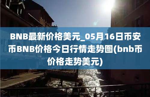 BNB最新价格美元_05月16日币安币BNB价格今日行情走势图(bnb币价格走势美元)