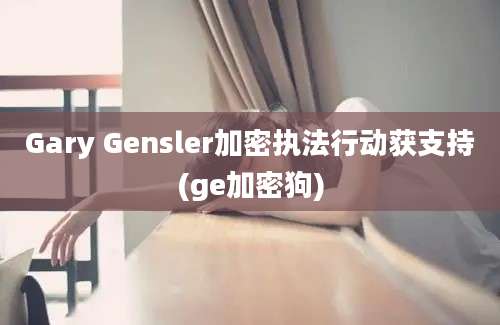 Gary Gensler加密执法行动获支持(ge加密狗)