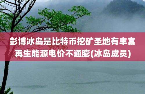 彭博冰岛是比特币挖矿圣地有丰富再生能源电价不通膨(冰岛成员)