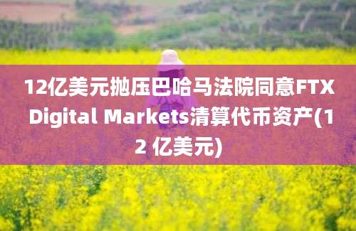 12亿美元抛压巴哈马法院同意FTX Digital Markets清算代币资产(12 亿美元)