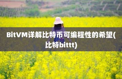 BitVM详解比特币可编程性的希望(比特bittt)