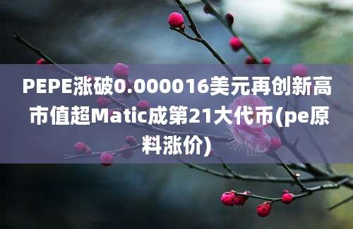 PEPE涨破0.000016美元再创新高 市值超Matic成第21大代币(pe原料涨价)