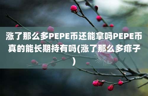 涨了那么多PEPE币还能拿吗PEPE币真的能长期持有吗(涨了那么多痱子)