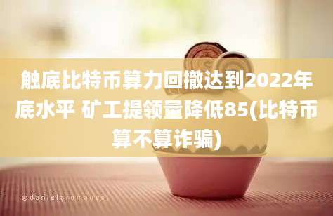 触底比特币算力回撤达到2022年底水平 矿工提领量降低85(比特币算不算诈骗)