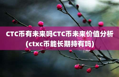 CTC币有未来吗CTC币未来价值分析(ctxc币能长期持有吗)