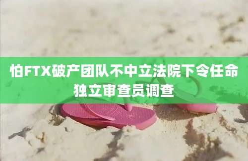 怕FTX破产团队不中立法院下令任命独立审查员调查