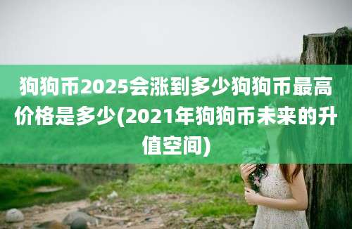 狗狗币2025会涨到多少狗狗币最高价格是多少(2021年狗狗币未来的升值空间)