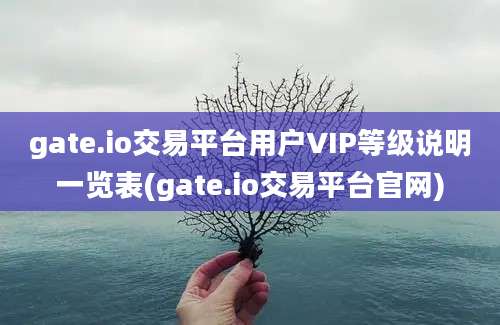 gate.io交易平台用户VIP等级说明一览表(gate.io交易平台官网)