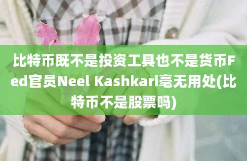 比特币既不是投资工具也不是货币Fed官员Neel Kashkari毫无用处(比特币不是股票吗)