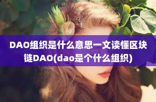 DAO组织是什么意思一文读懂区块链DAO(dao是个什么组织)