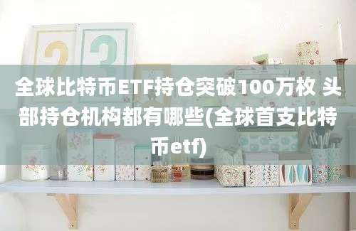 全球比特币ETF持仓突破100万枚 头部持仓机构都有哪些(全球首支比特币etf)