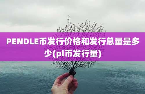 PENDLE币发行价格和发行总量是多少(pl币发行量)