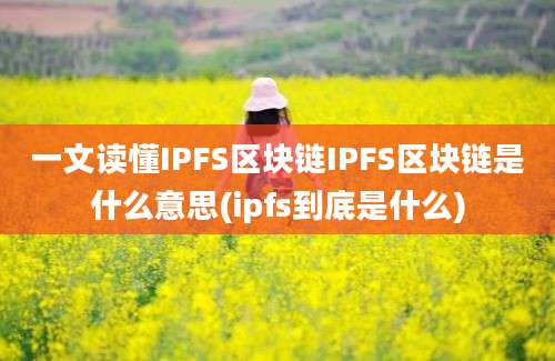 一文读懂IPFS区块链IPFS区块链是什么意思(ipfs到底是什么)