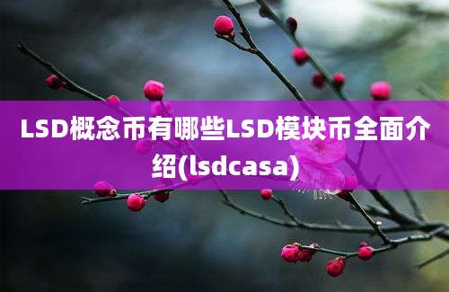 LSD概念币有哪些LSD模块币全面介绍(lsdcasa)