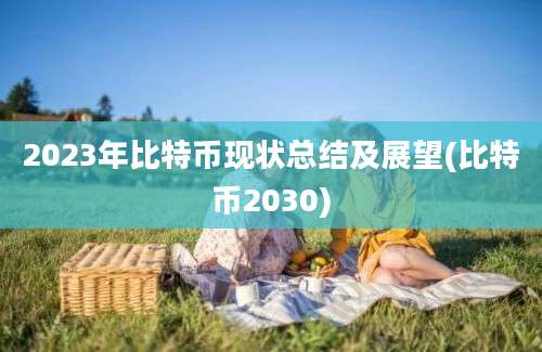 2023年比特币现状总结及展望(比特币2030)