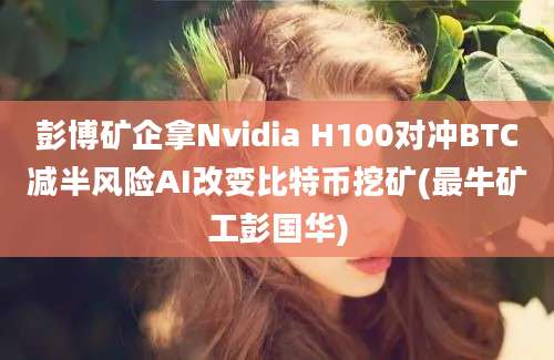 彭博矿企拿Nvidia H100对冲BTC减半风险AI改变比特币挖矿(最牛矿工彭国华)