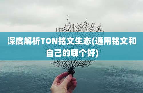 深度解析TON铭文生态(通用铭文和自己的哪个好)