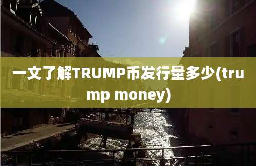 一文了解TRUMP币发行量多少(trump money)