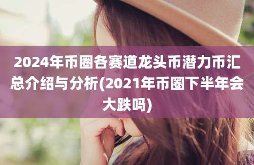 2024年币圈各赛道龙头币潜力币汇总介绍与分析(2021年币圈下半年会大跌吗)