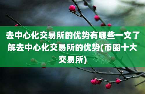 去中心化交易所的优势有哪些一文了解去中心化交易所的优势(币圈十大交易所)