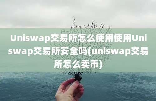 Uniswap交易所怎么使用使用Uniswap交易所安全吗(uniswap交易所怎么卖币)