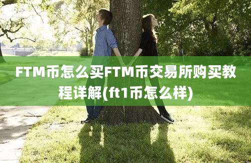 FTM币怎么买FTM币交易所购买教程详解(ft1币怎么样)