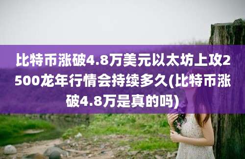 比特币涨破4.8万美元以太坊上攻2500龙年行情会持续多久(比特币涨破4.8万是真的吗)