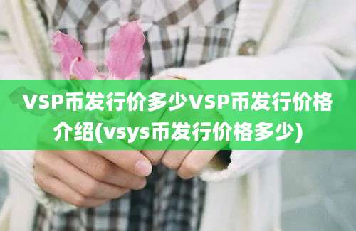 VSP币发行价多少VSP币发行价格介绍(vsys币发行价格多少)