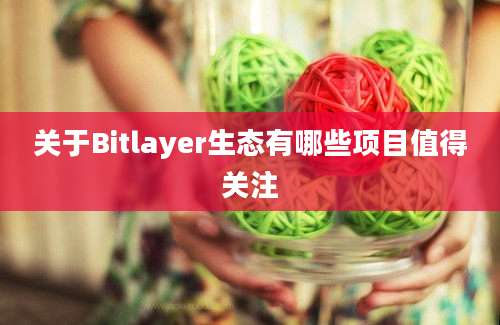 关于Bitlayer生态有哪些项目值得关注