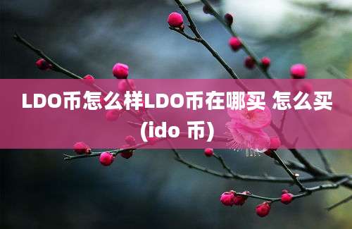 LDO币怎么样LDO币在哪买 怎么买(ido 币)