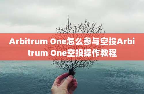 Arbitrum One怎么参与空投Arbitrum One空投操作教程