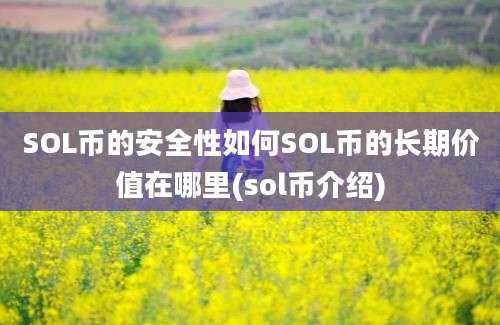 SOL币的安全性如何SOL币的长期价值在哪里(sol币介绍)