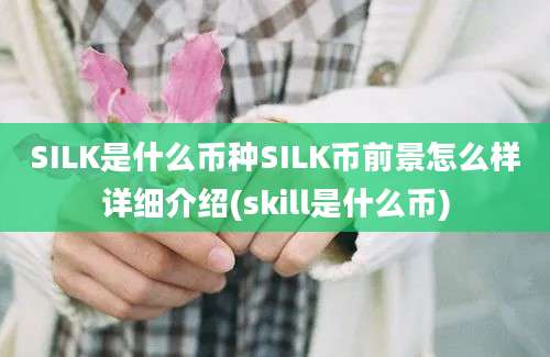 SILK是什么币种SILK币前景怎么样详细介绍(skill是什么币)