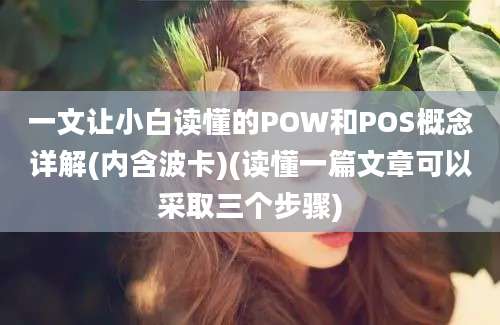 一文让小白读懂的POW和POS概念详解(内含波卡)(读懂一篇文章可以采取三个步骤)