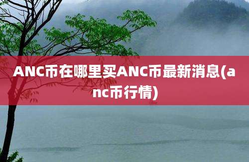 ANC币在哪里买ANC币最新消息(anc币行情)